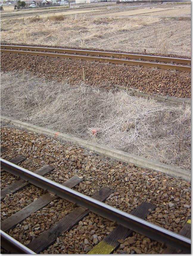 20奥ＪＲ単線ＰＣマクラギ_手前名鉄複線木製枕木