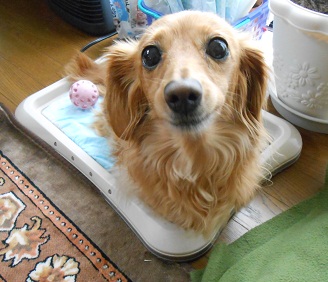 DSCN3879.JPG