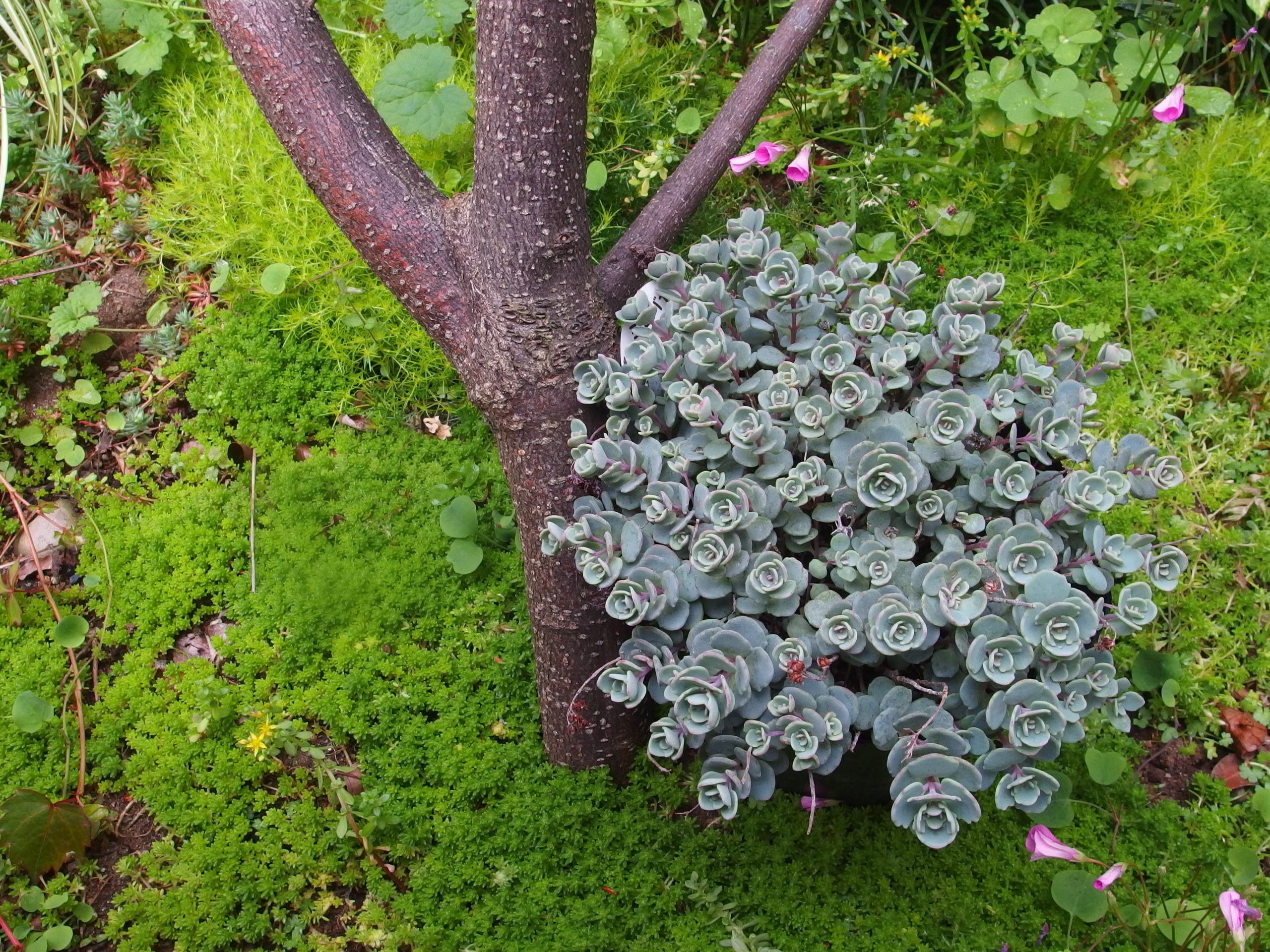 2015-06-05 15.42.34.jpg