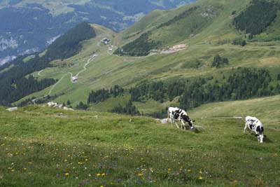 スイス風景.jpg