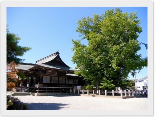 2023-07-30mamatamさんと神社巡り！5.jpg