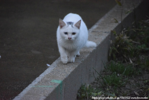 0129 とあるところで.jpg