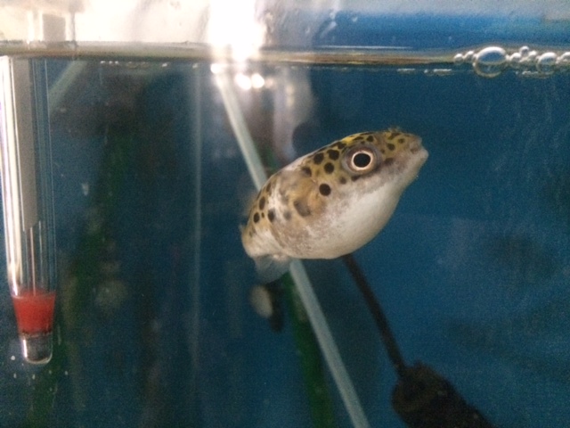 image1.jpeg