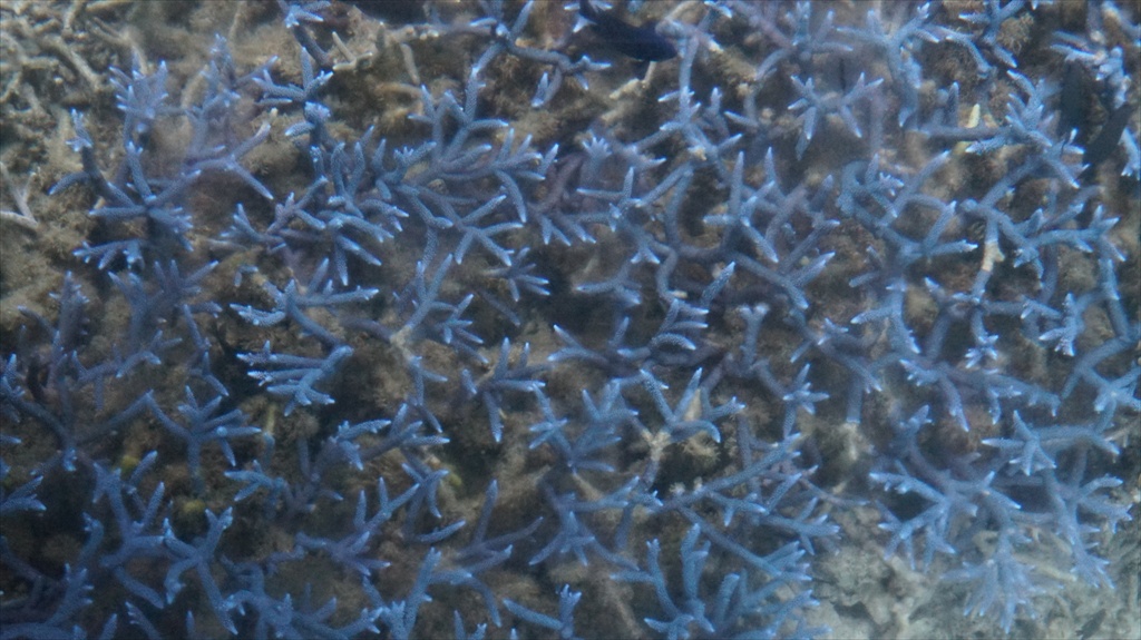 20150224 08273801.JPG