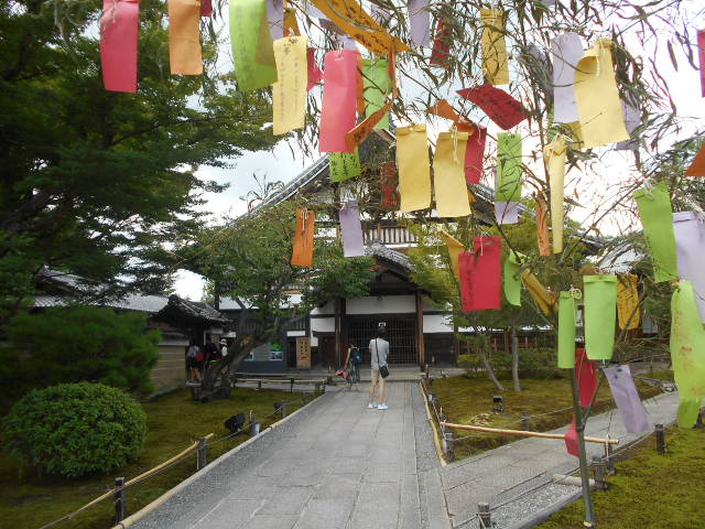 京都高台寺 七夕茶会 パッキーの窓 楽天ブログ