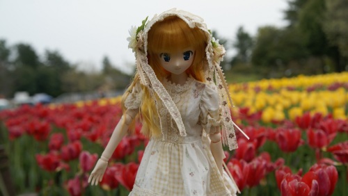 木曽三川公園チューリップ  瑛里華2.jpg