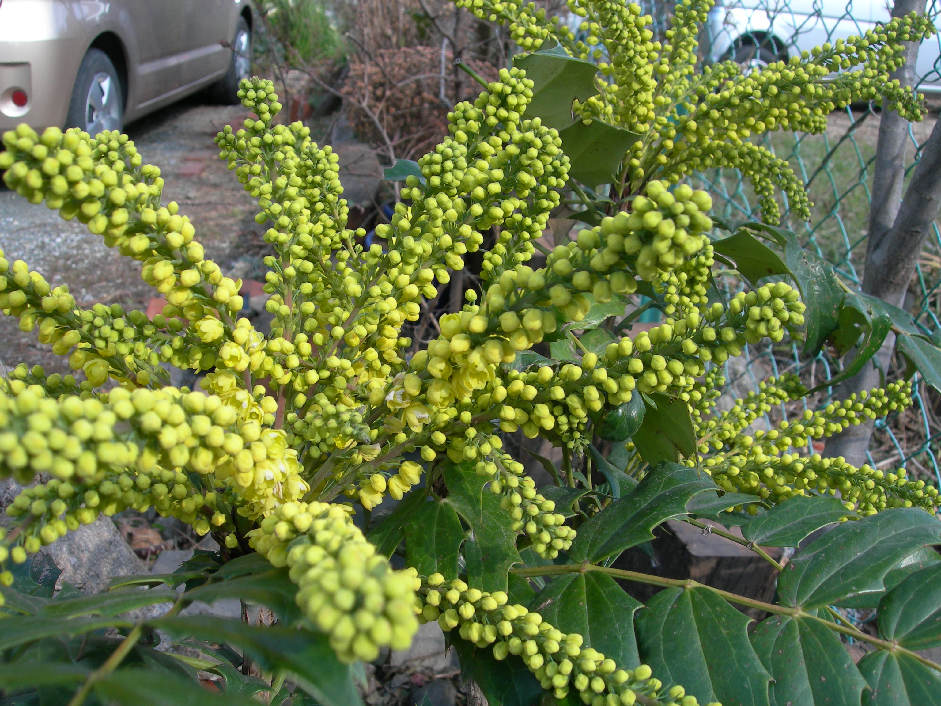 DSCN0129.JPG