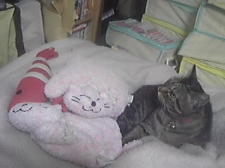 201106_041213.jpg