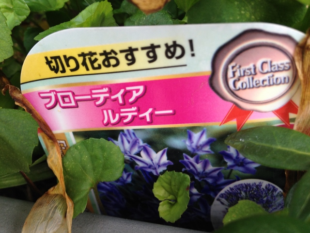 IMG_9155 (640x480).jpg