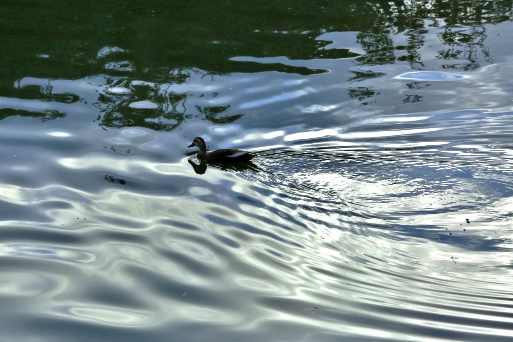 B97A6440 (1024x683) (3).jpg