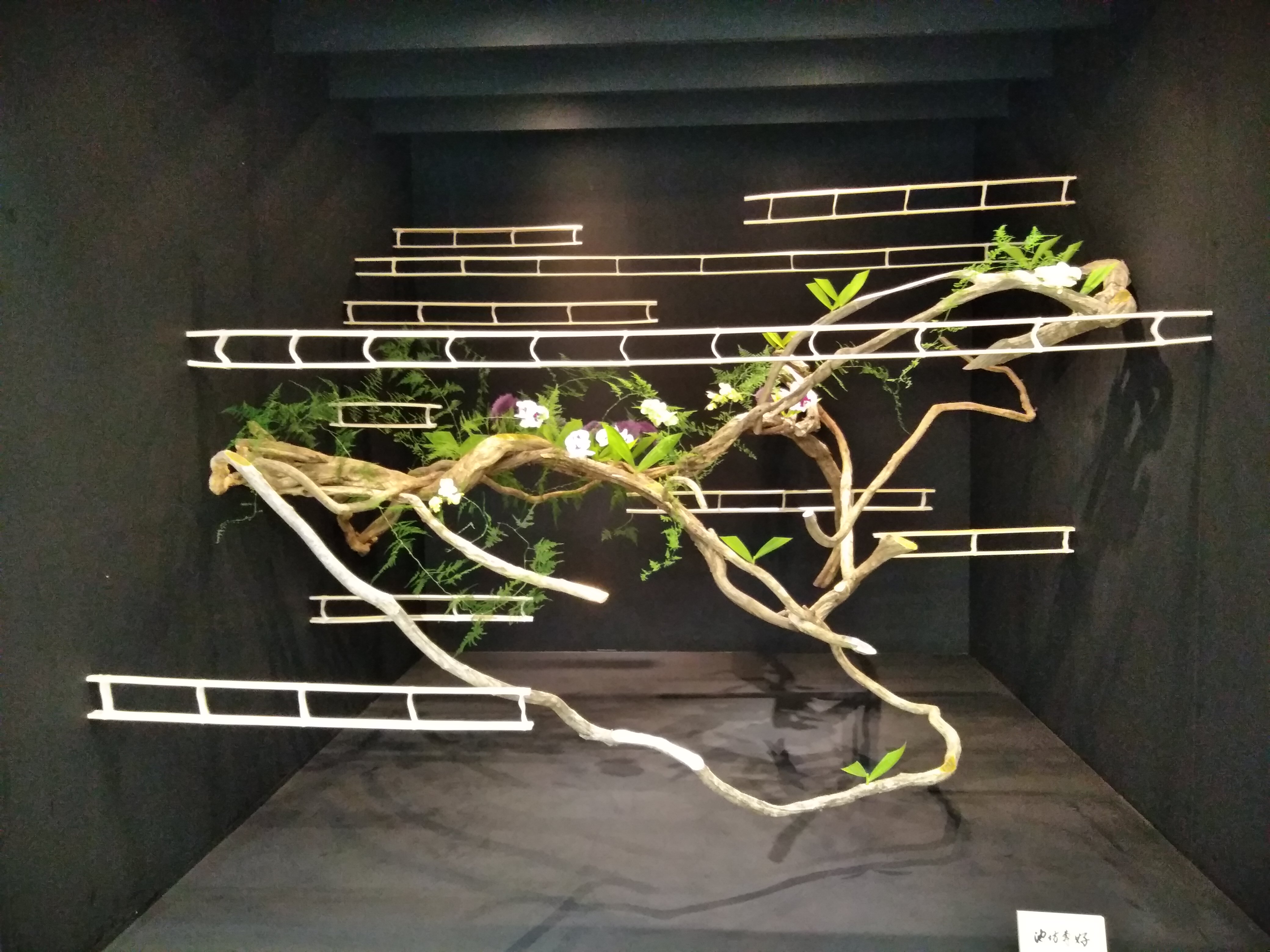 2018池坊展b