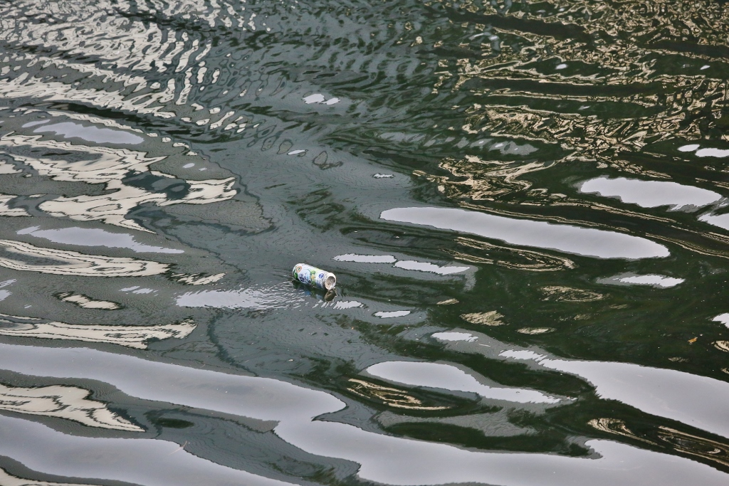 B97A5919 (1024x683).jpg