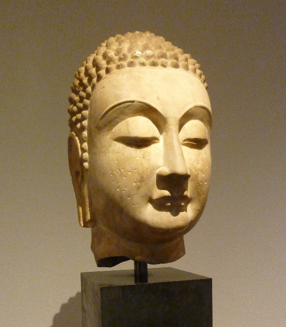 P1100993(1).JPG