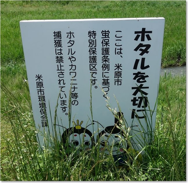 06ホタルを大切に