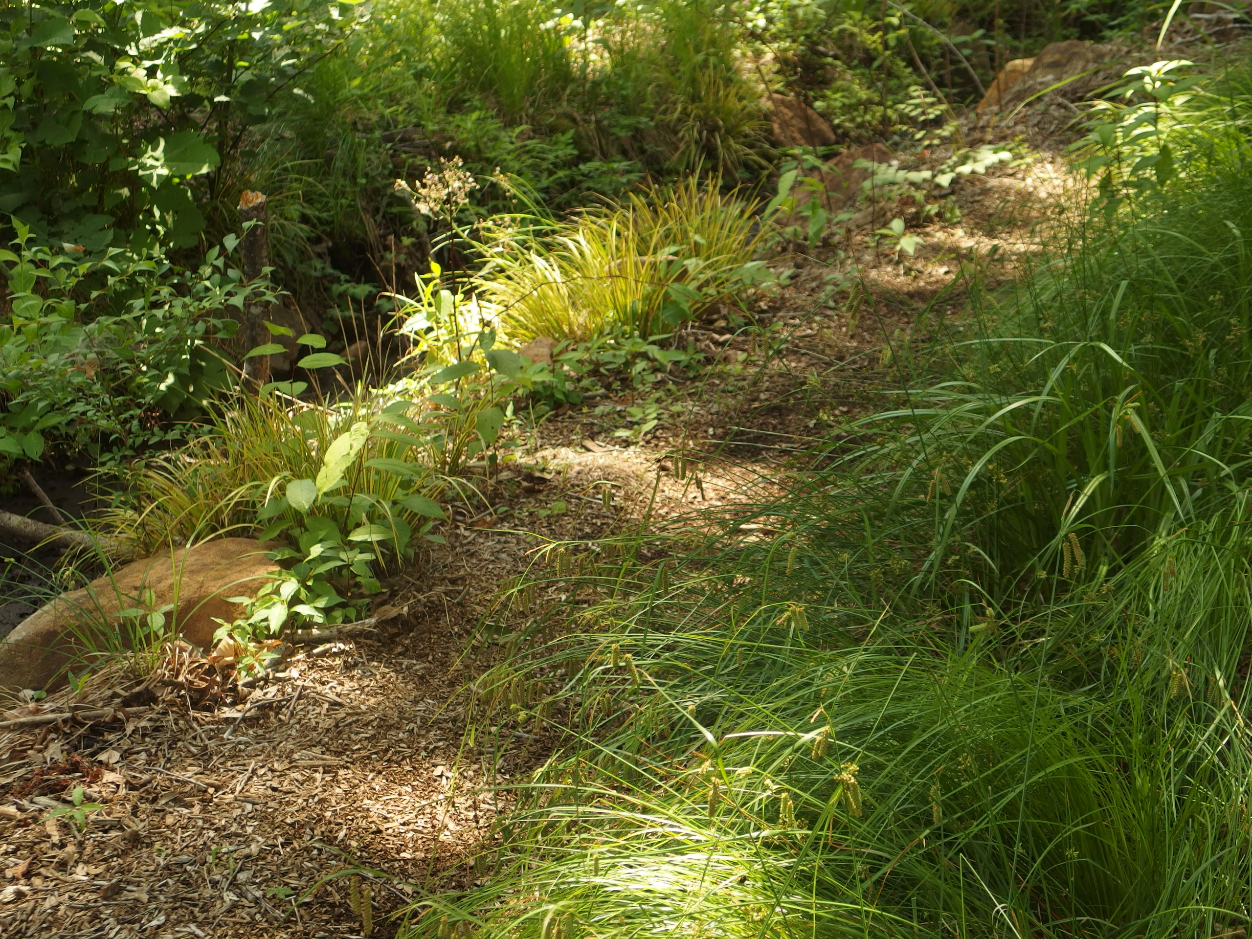 2015-06-10 12.22.33.jpg