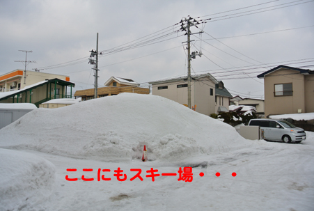 4.JPG
