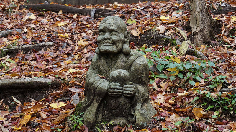 20141112 11132701.jpg