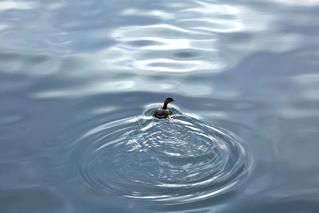 B97A6447 (1024x683).jpg