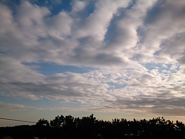 20180130  DSC_0001.jpg