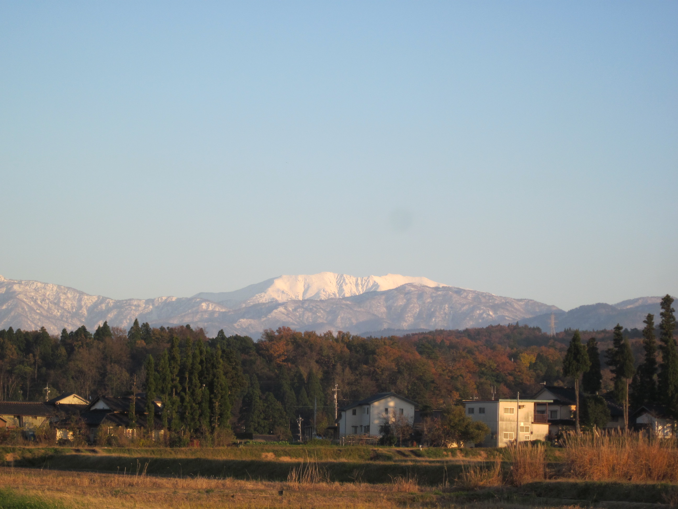IMG_4505.JPG