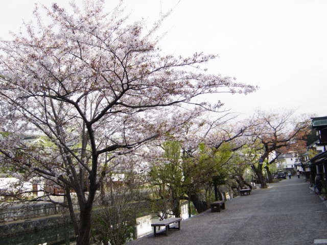 DSC06972.JPG