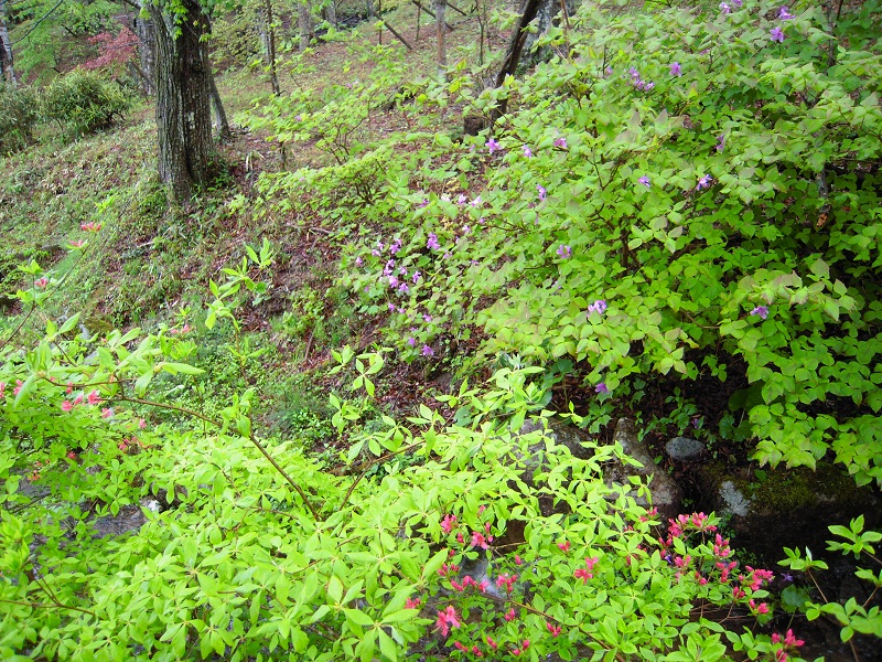 DSCN6643.JPG