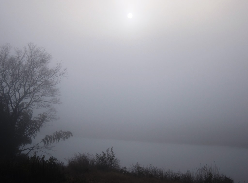 霧の朝2.JPG