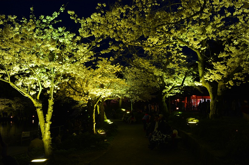 DSC_0678.jpg