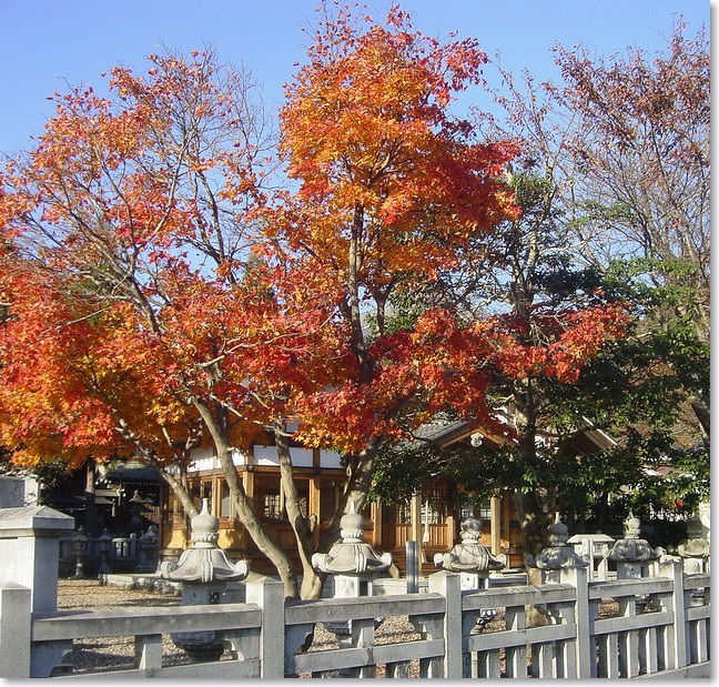 26紅葉の境内