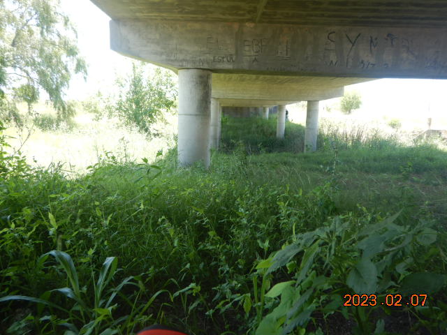 DSCN2432.JPG