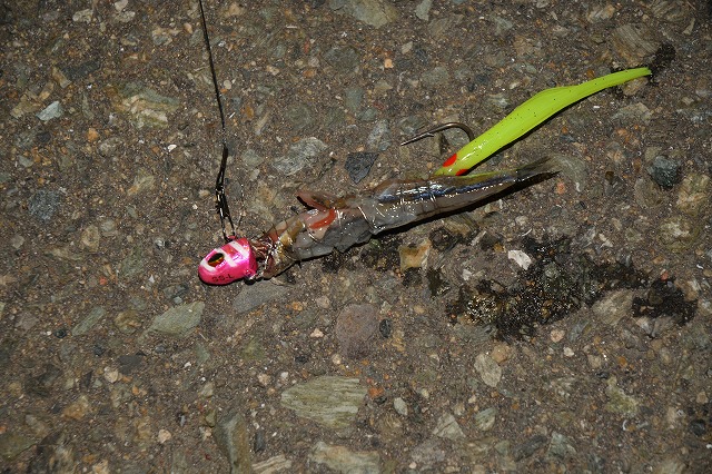 showPhoto (640×426)