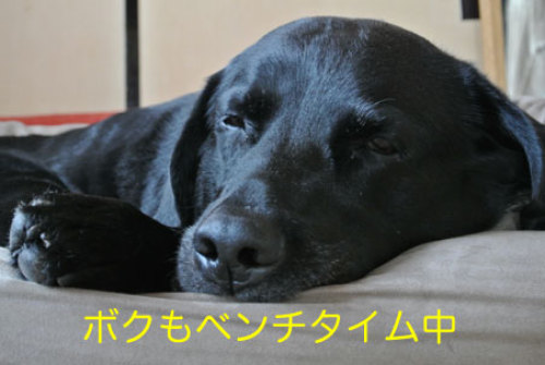 13.JPG