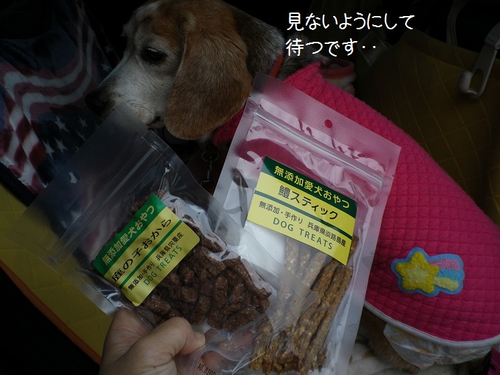 IMGP4604.JPG