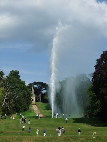 270262_10150238059942821_7702825_n[1] (2).jpg