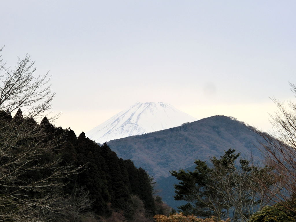 20110306-15.jpg