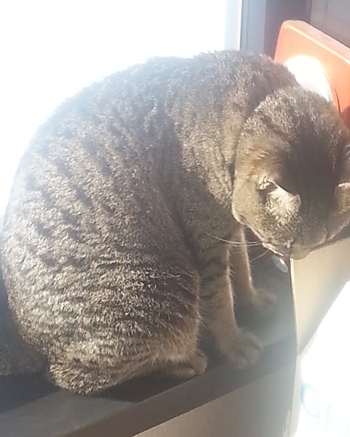 350 20140119_121425.jpg