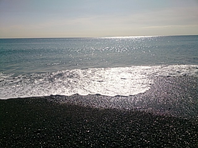 20150129  DSC_0001.jpg