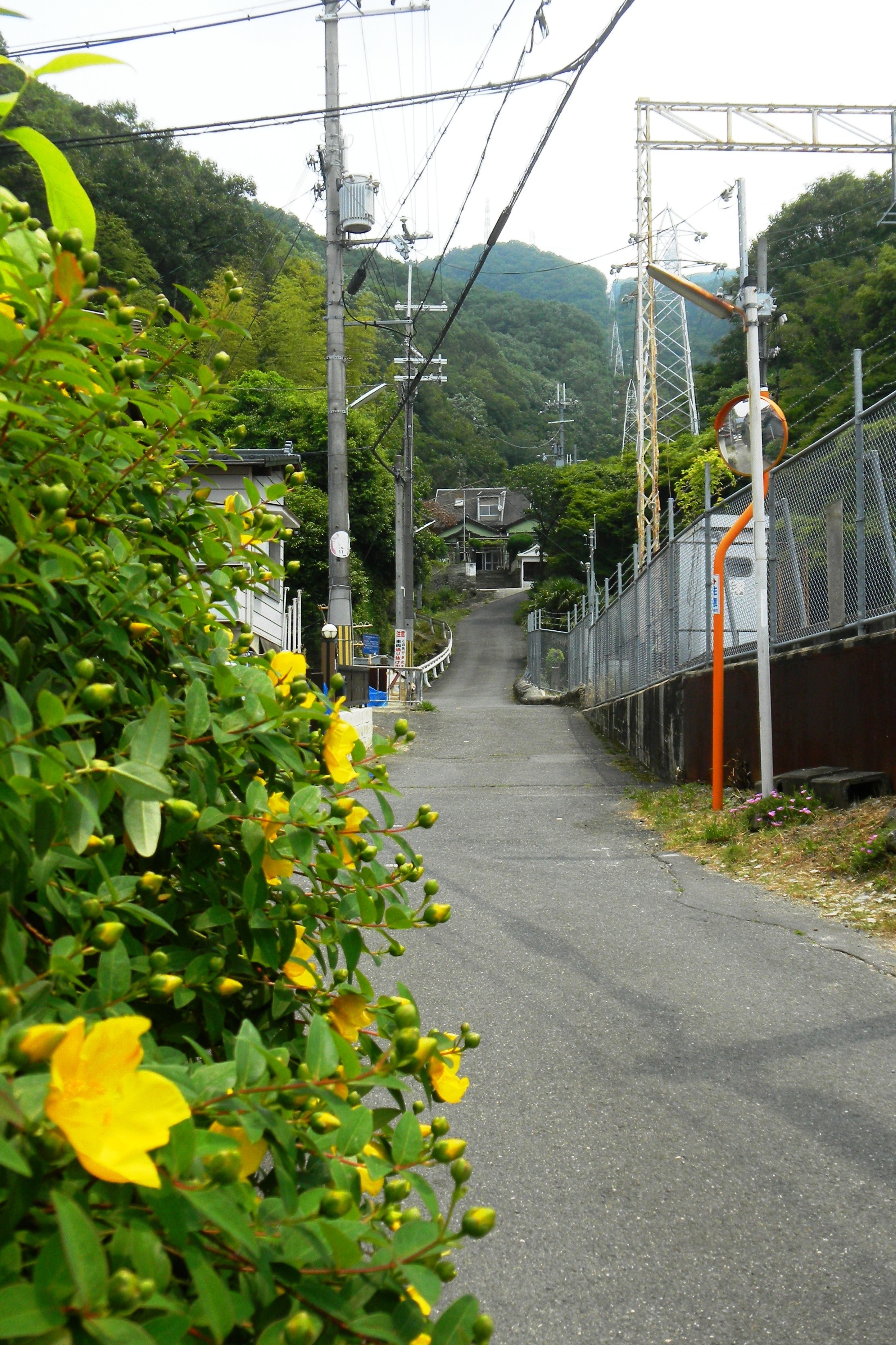 009くさか滝道 (2)(V.2012_05_29__01_43_37).jpg