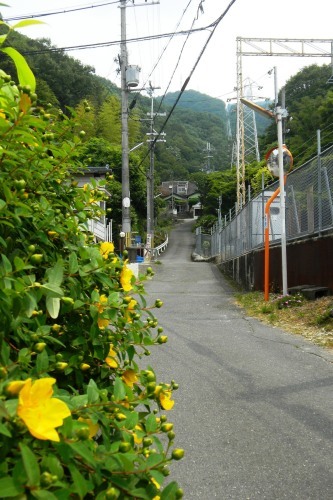 009くさか滝道 (2)(V.2012_05_29__01_43_37).jpg