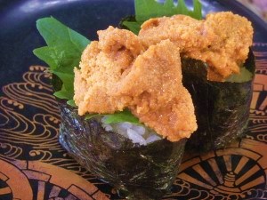 DSCN4437 (300x225).jpg