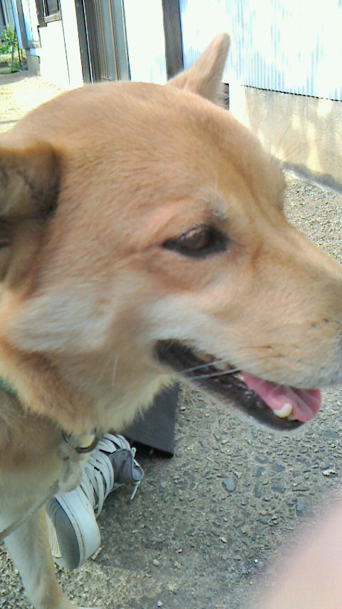 NEC_0017.JPG