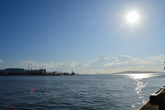 showPhoto (640×426)