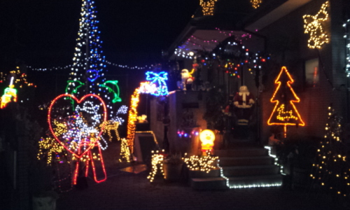 C:\fakepath\2012-12-06 19.46.02[1].jpg