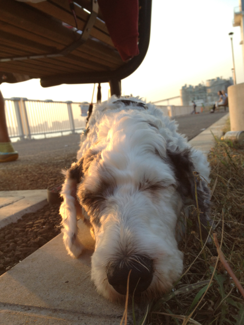 201309231438_7712_iphone.jpg