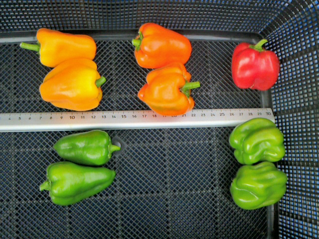 2012090815470001.jpg