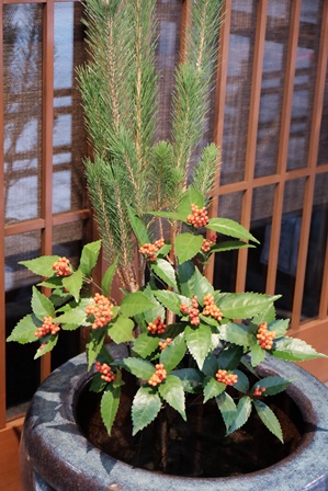 1月12日.JPG