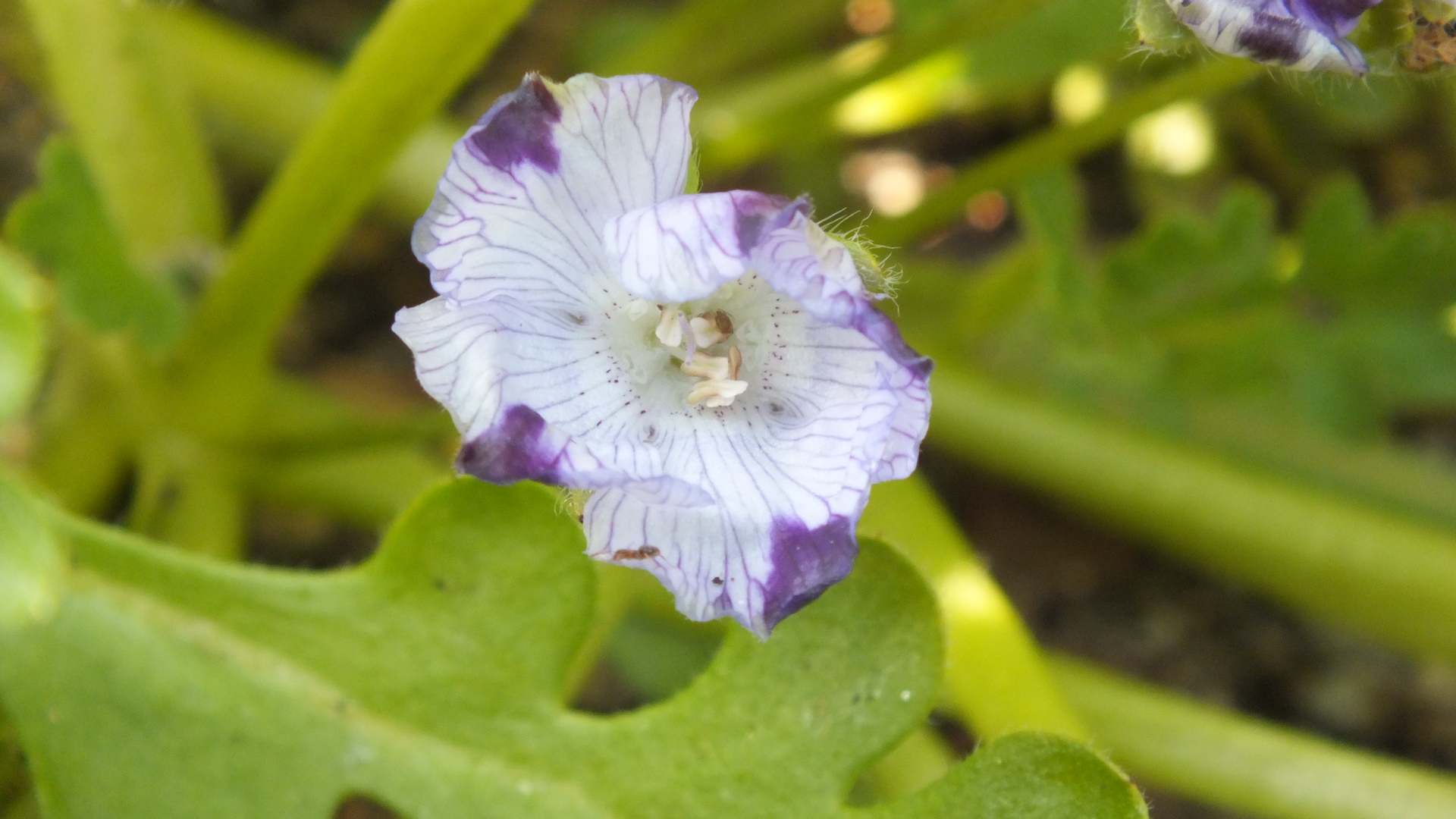 DSCF5852.JPG