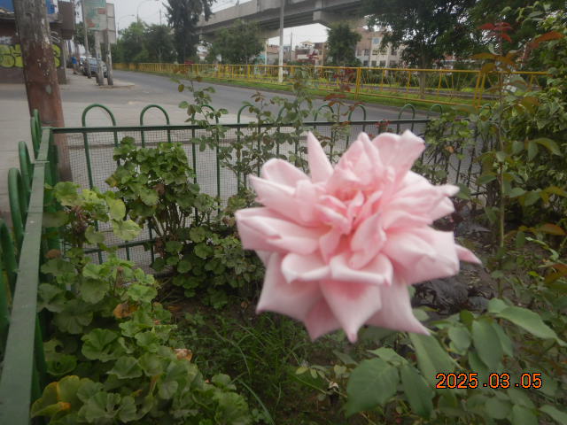 DSCN0084[1].JPG