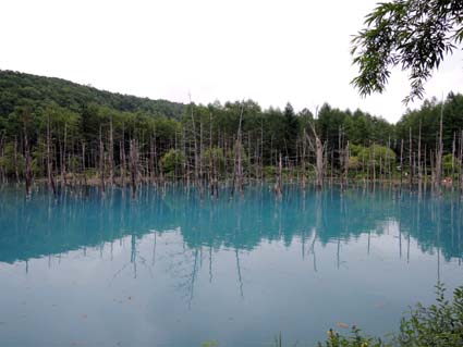 04 美瑛　青い池.jpg