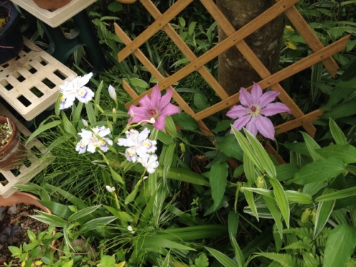 IMG_6937 (640x480).jpg